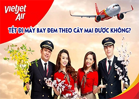 Tết đi máy bay đem theo cây mai được không?