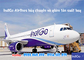Indigo Airlines hủy chuyến và giảm tần suất bay